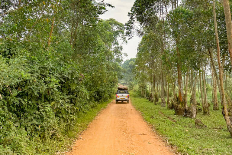 Voiture au milieu de la piste en Ouganda