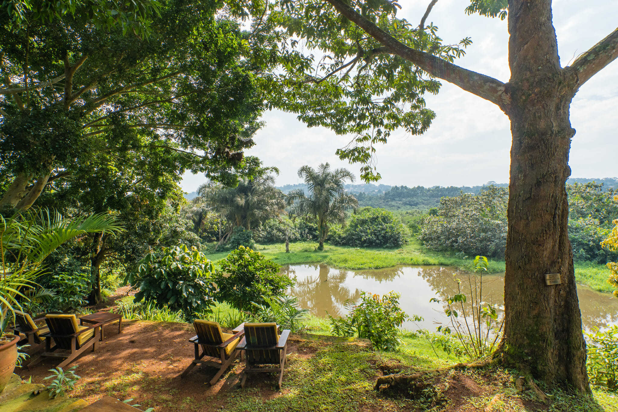 ambiance détente depuis Via Via guesthouse à entebbe