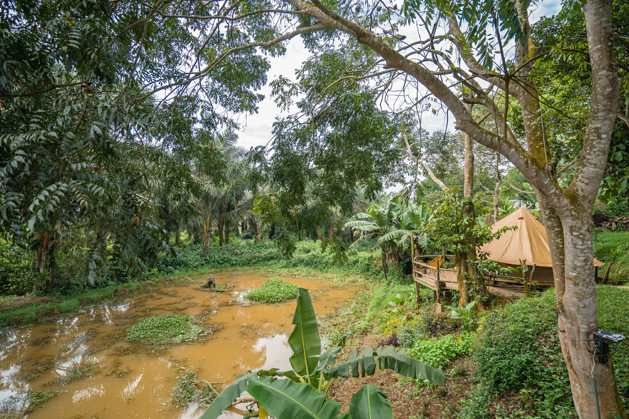 logement via via guest house à entebbe