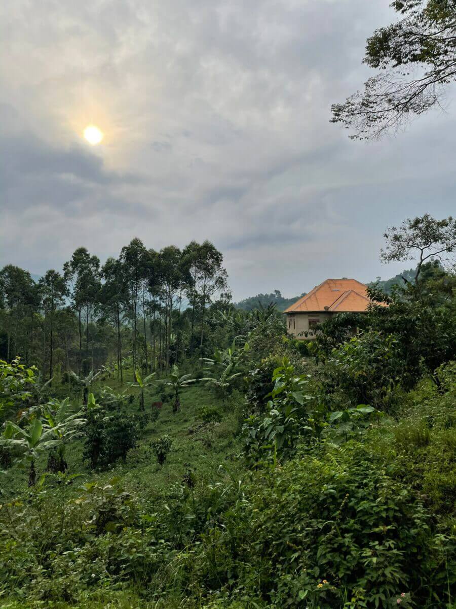 road trip en ouganda 