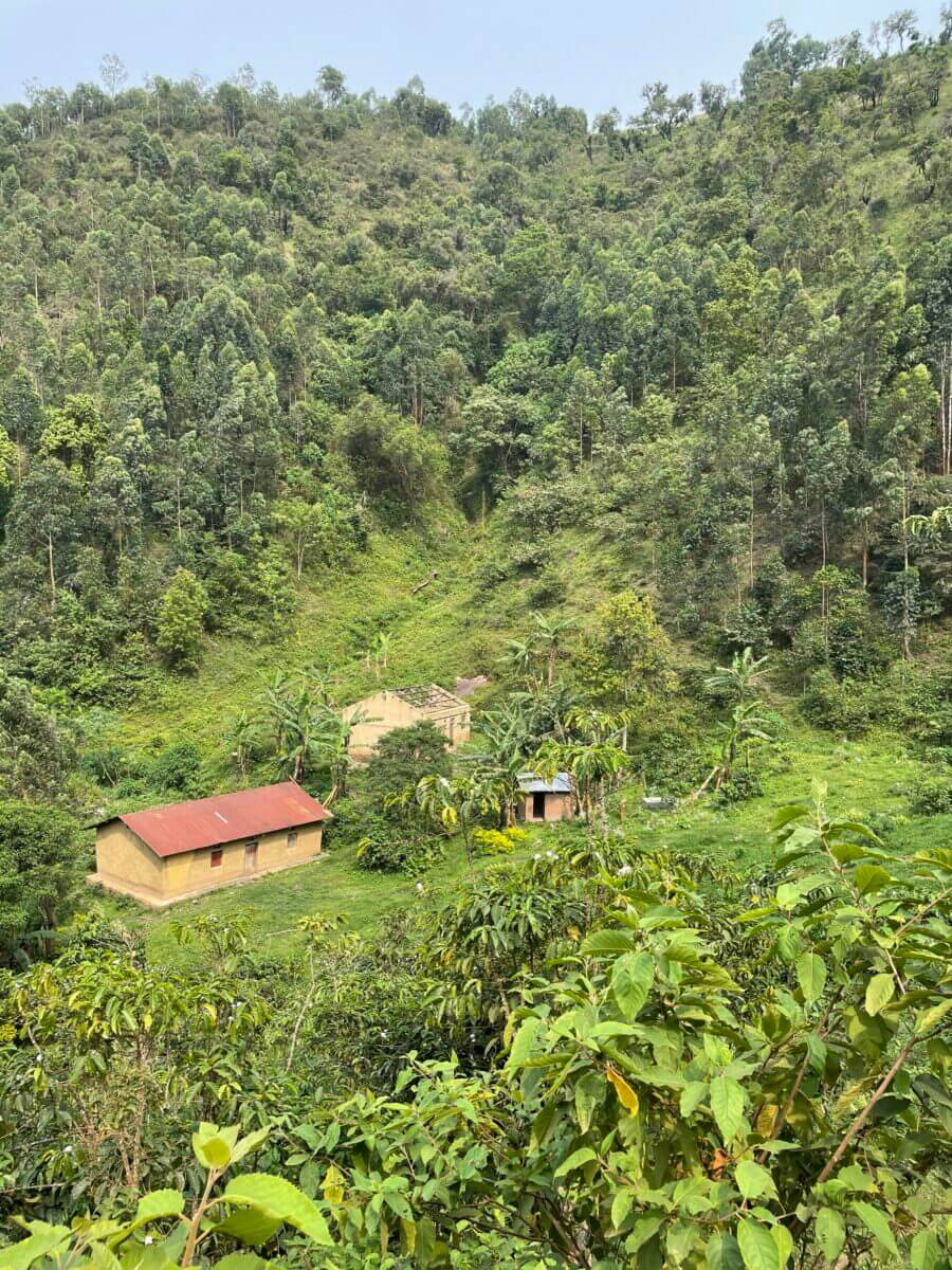 vue sur les paysages ougandais