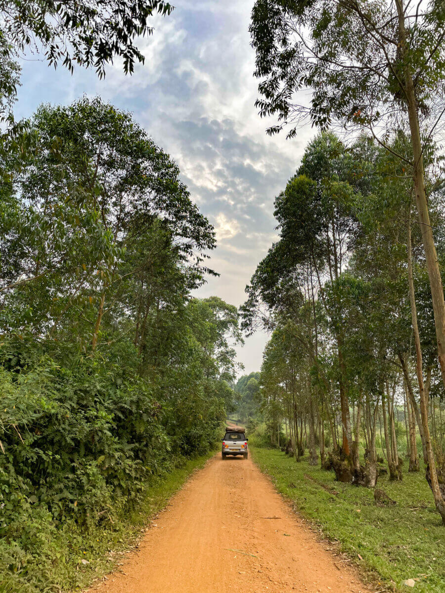 voiture de location pour le road trip en ouganda