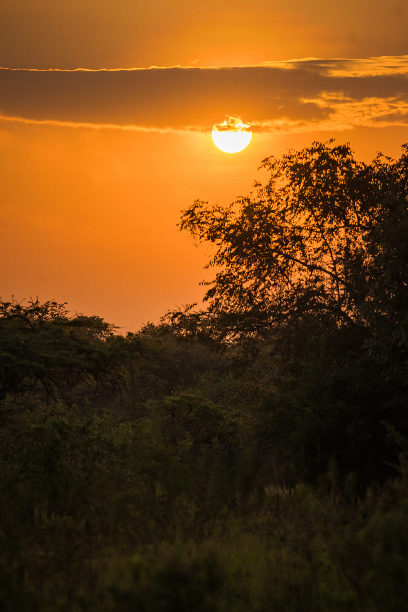 coucher de soleil sur le parc mburo en ouganda