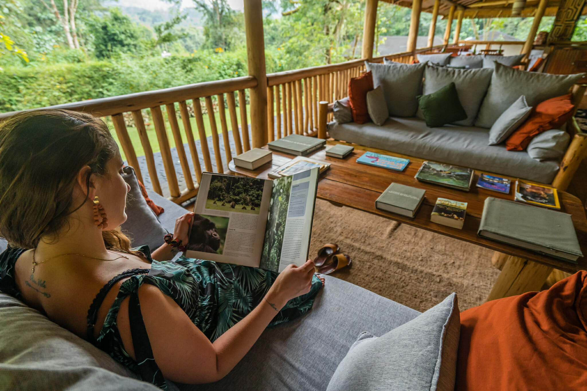 lecture sur les grands primates dans le buhoma lodge au coeur de la foret de bwindi