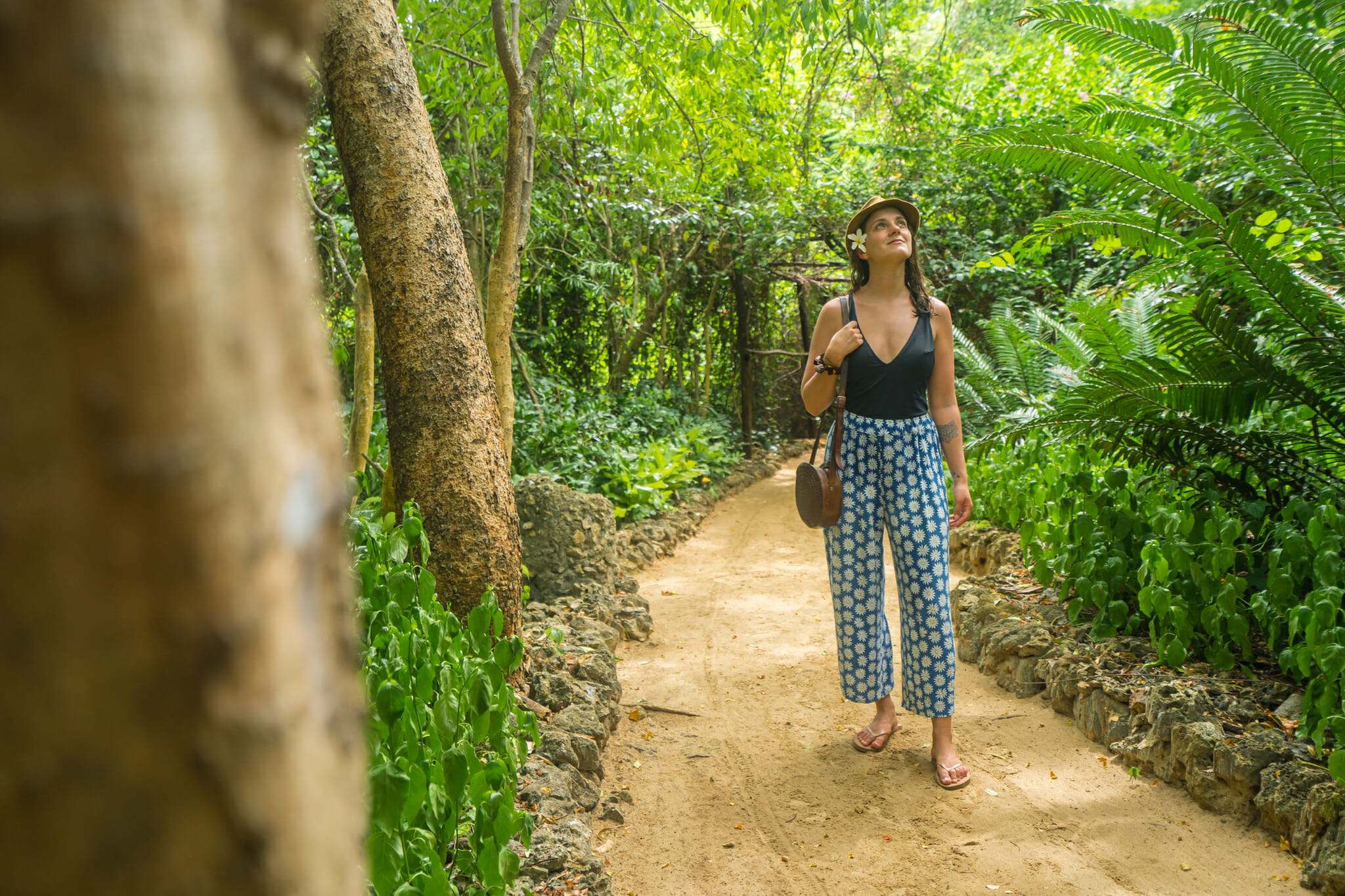Végétation luxuriante sur l'île de chole