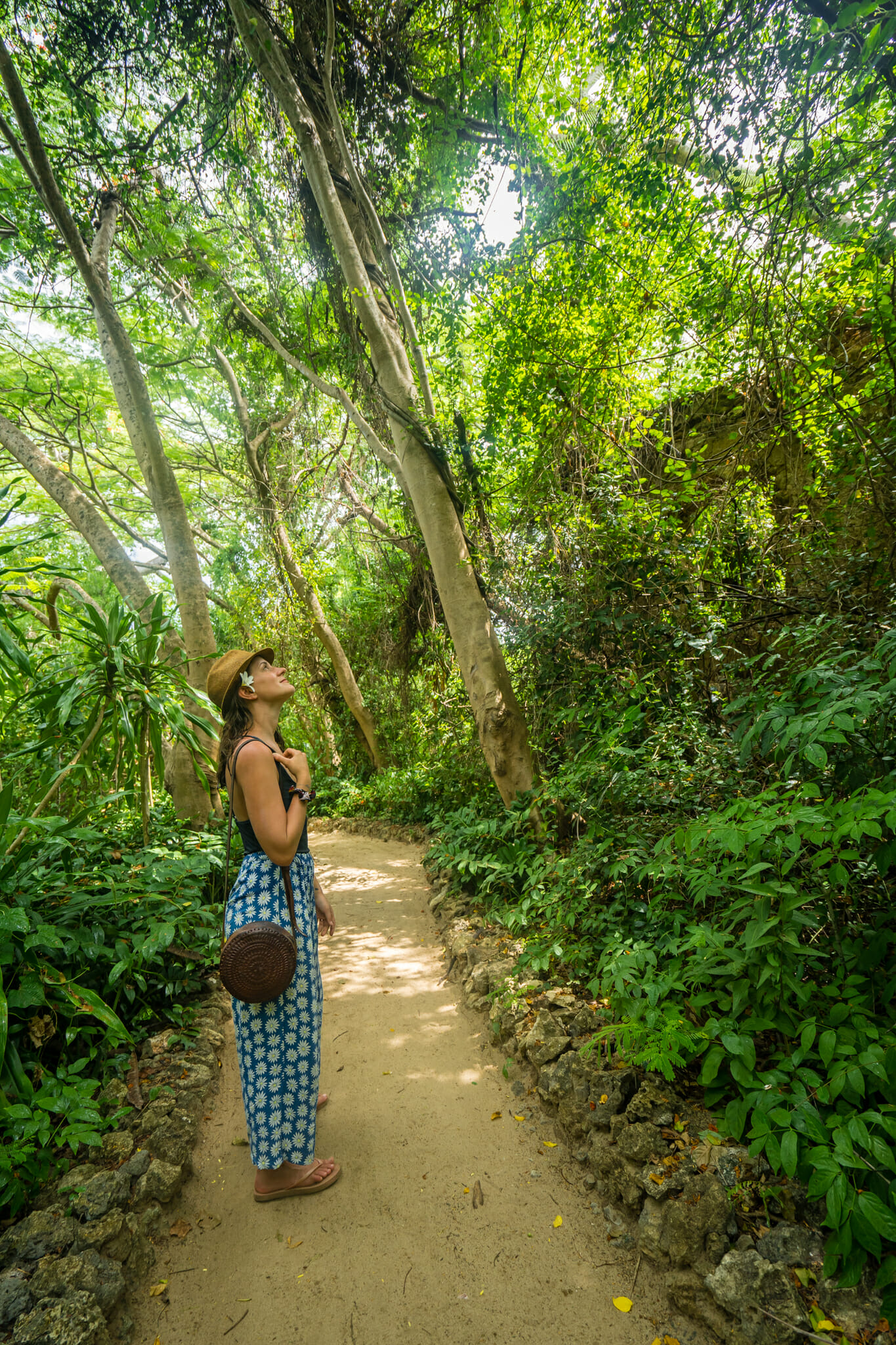 Végétation luxuriante sur l'île de Chole