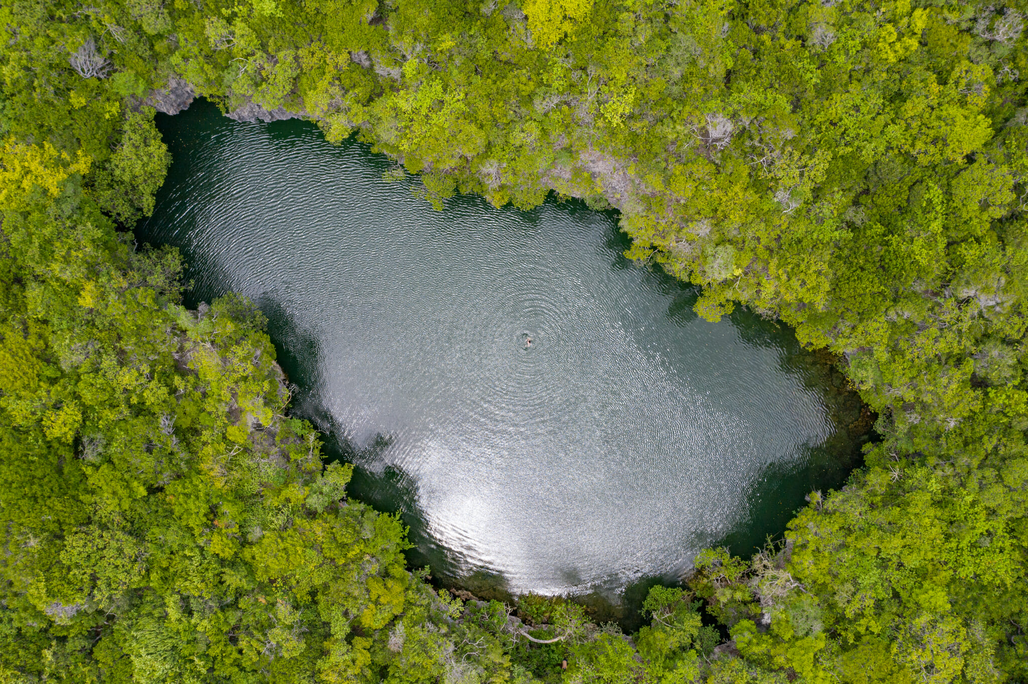 vue de drone sur le trou d'eau douce découvert sur Mafia Island