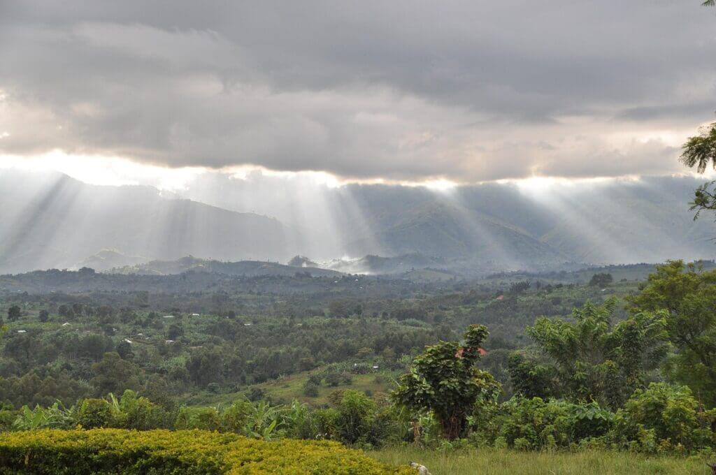 vue sur le parc de rwenzori
