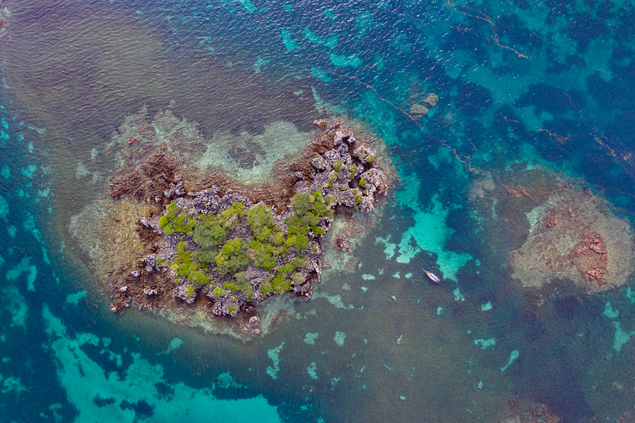 vue de drone sur le corail garden de mafia island