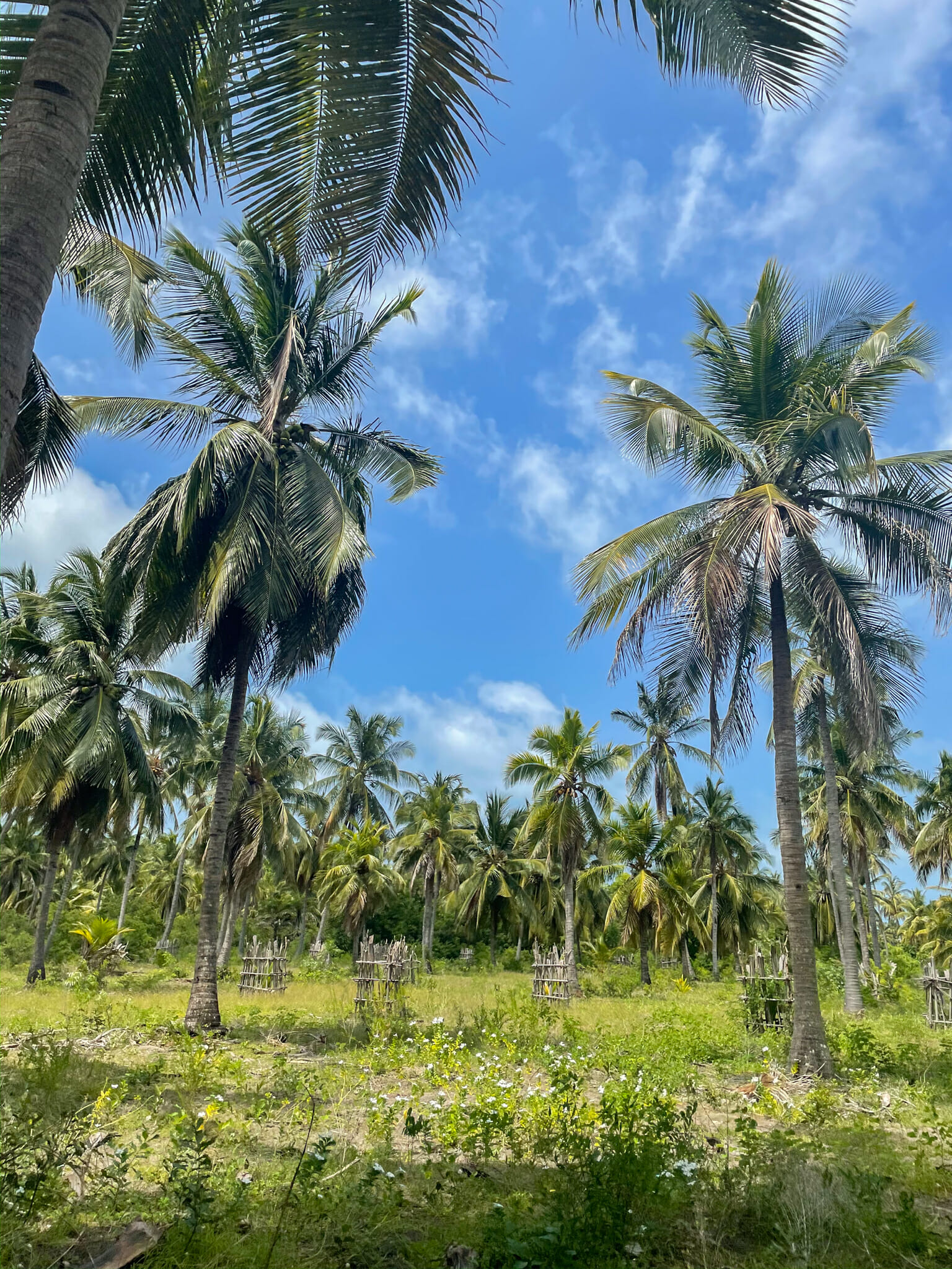 exploration de mafia island en moto