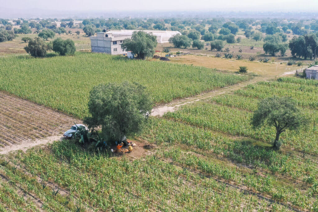 Pique nique traditionnel dans la région de Teotihuacan