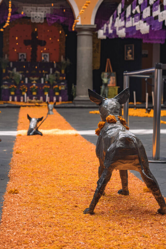 casa de cultura a puebla