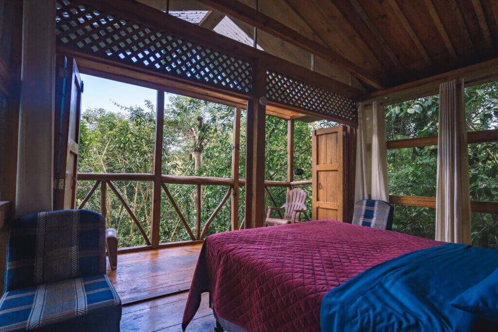 Vue intérieure de la cabane dans la jungle