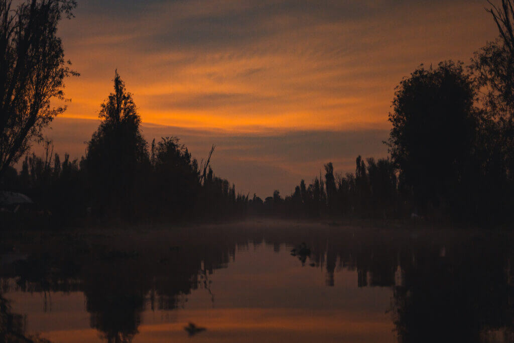 Lever de soleil depuis les canaux de Xochimilco, Mexico