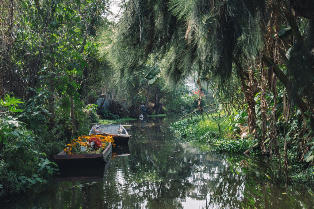 Canaux à Xochimilco, Mexico