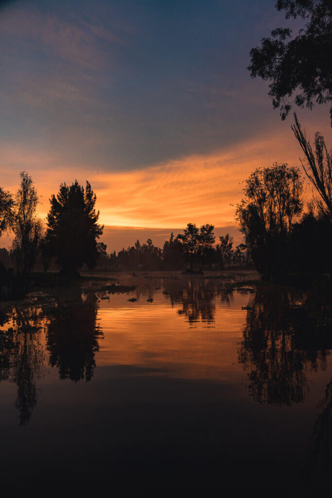 Lever de soleil depuis les canaux de Xochimilco, Mexico