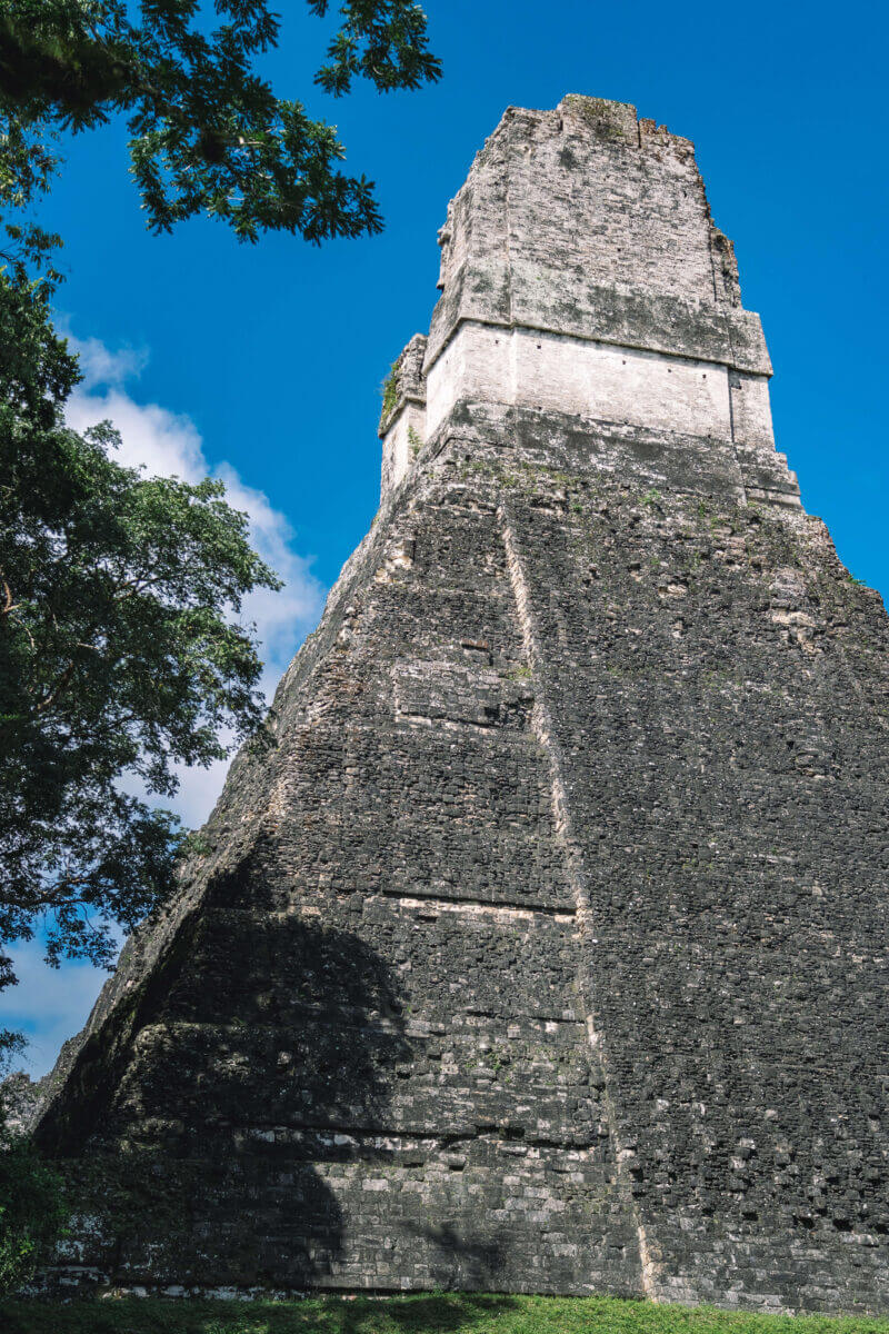 ruines de tikal
