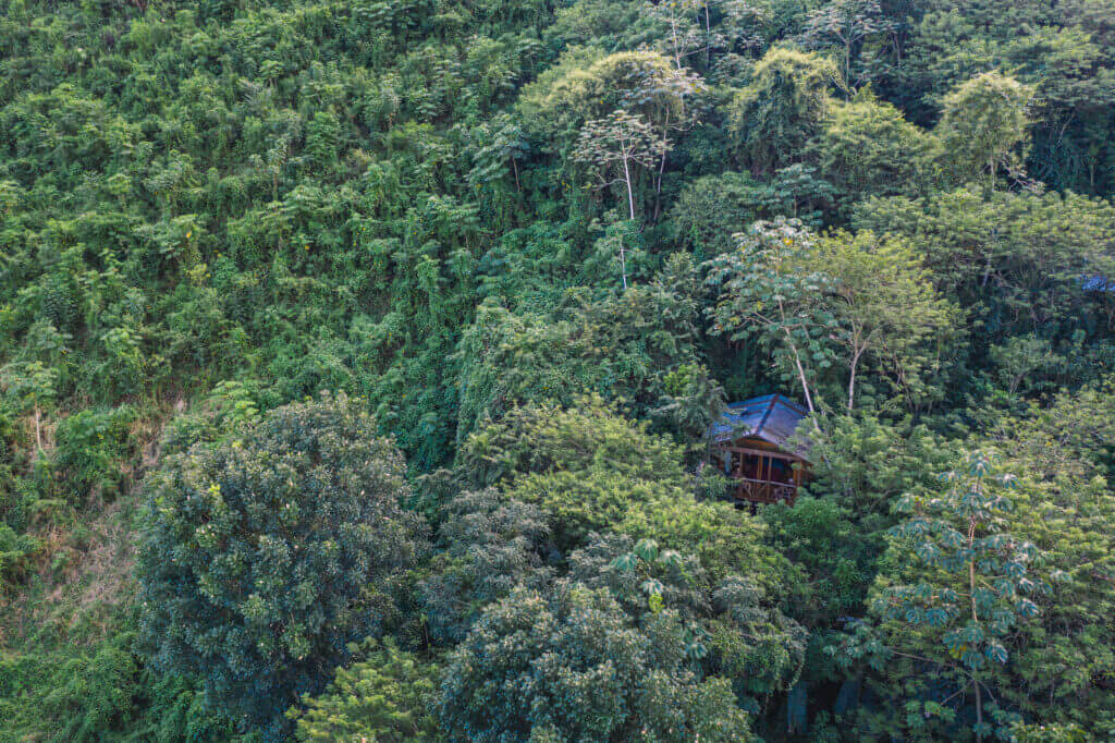 Cabane au milieu de la jungle