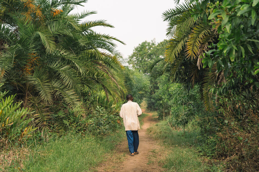 Forêt de Kpétou près du lac Ahémé au Bénin