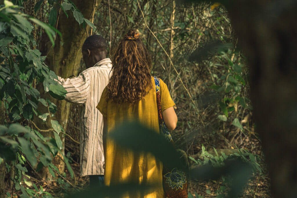 Singe Mona dans la forêt de Kpétou près du lac Ahémé au Bénin
