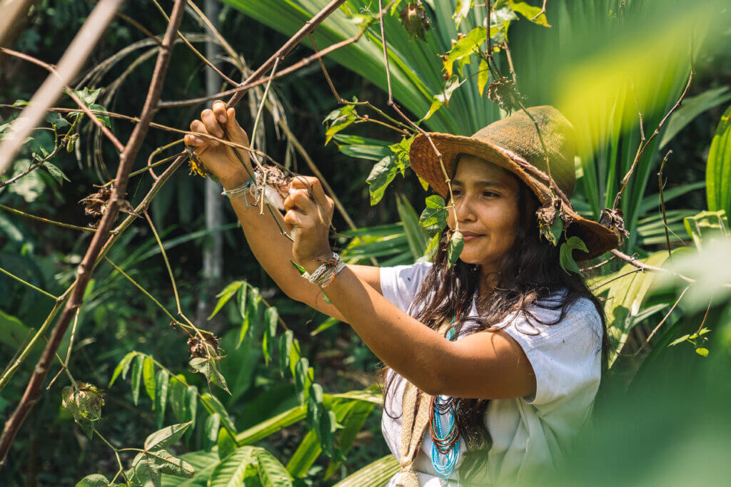 Voyage de groupe en Colombie !