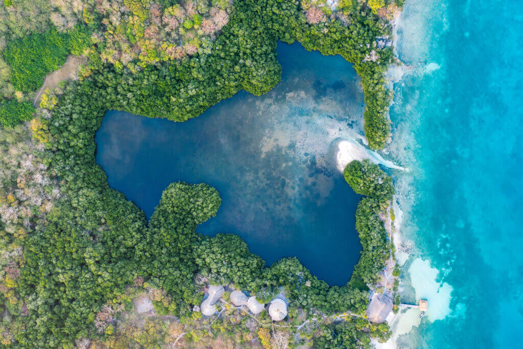 vue drone sur la mangrove et la mer des caraïbes
