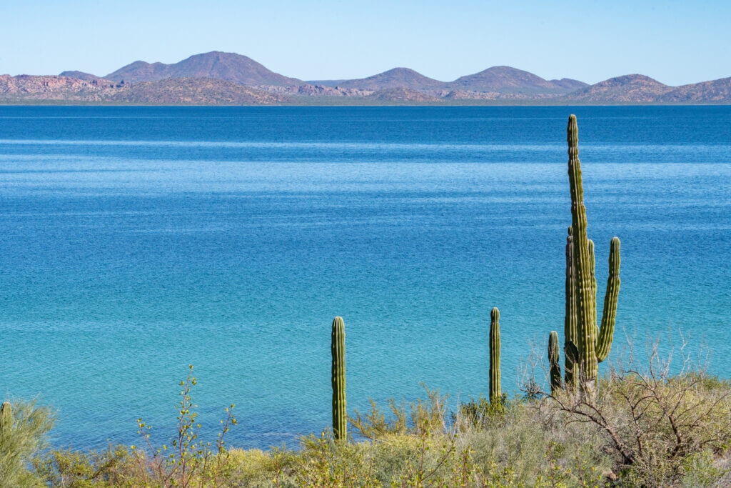 basse californie et mer de cortez