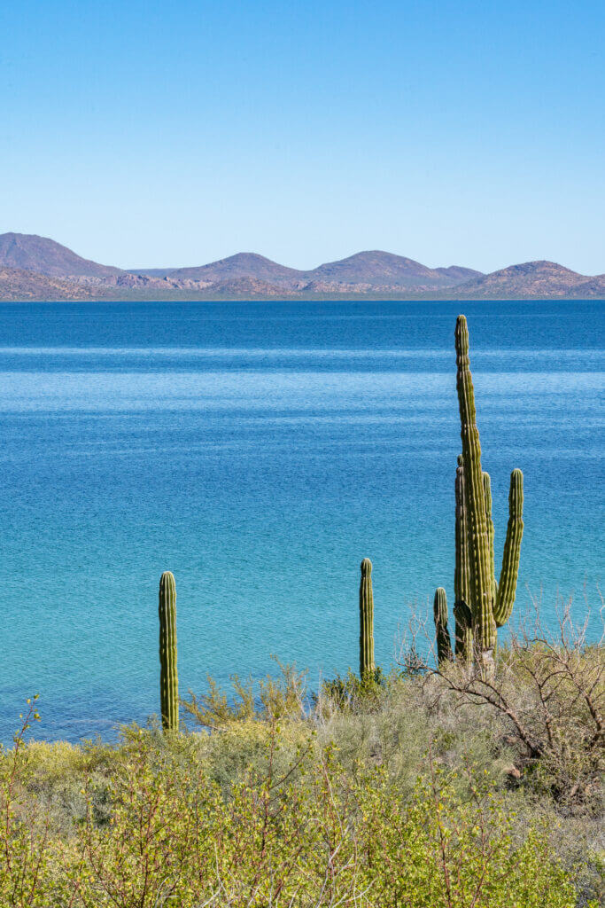 vue sur bahia concepcion