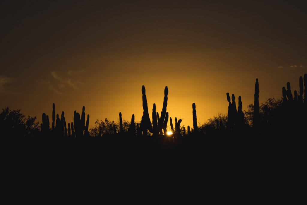 coucher soleil basse californie