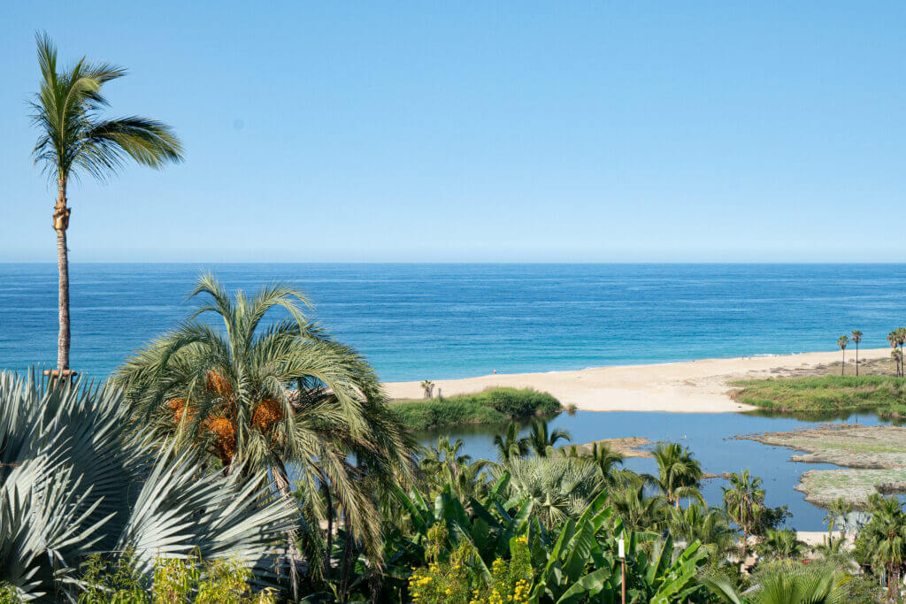 vue sur la mer de cortez