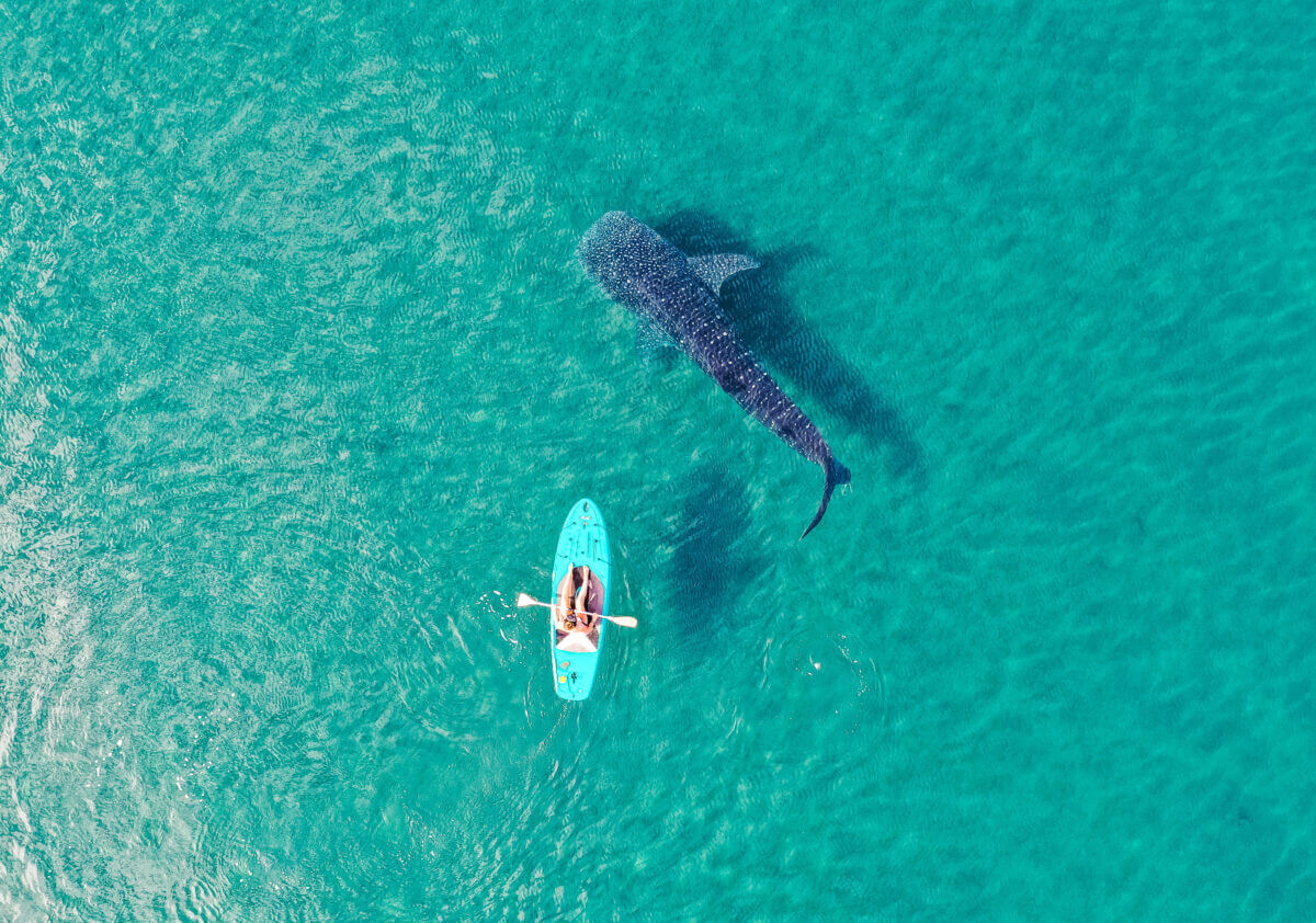 Fondatrice de la ferme de café familiale en Tanzanie