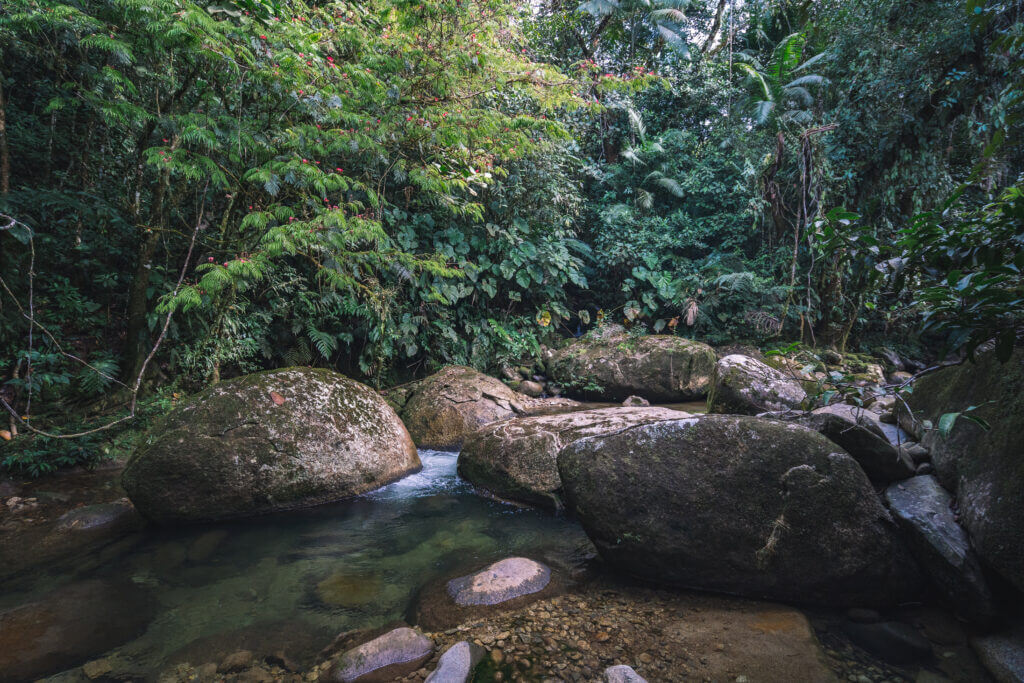 Photo de la rivière