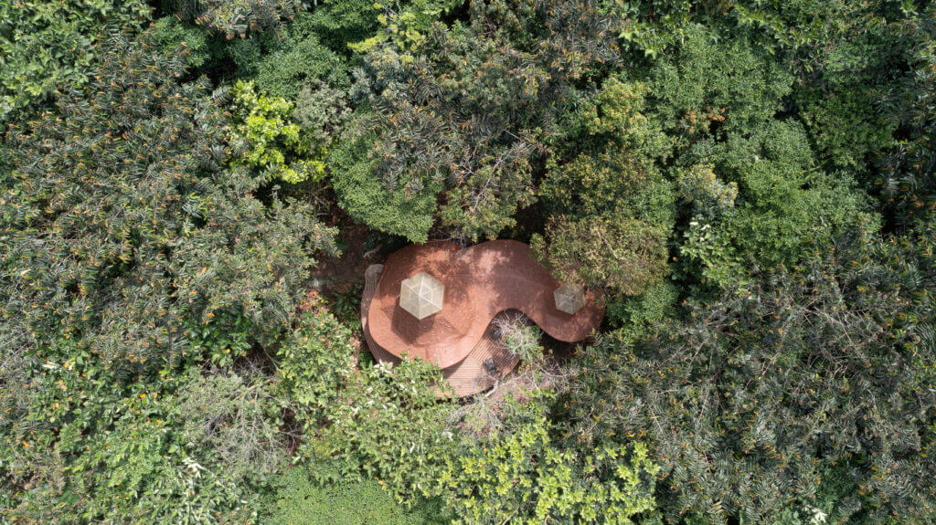 Photo aérienne de la jungle