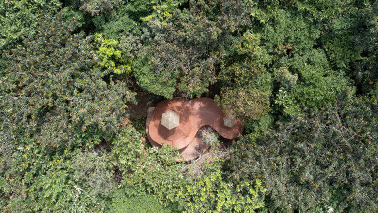 Photo aérienne de la jungle