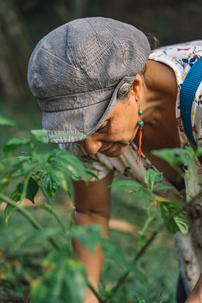 Betty en train de planter