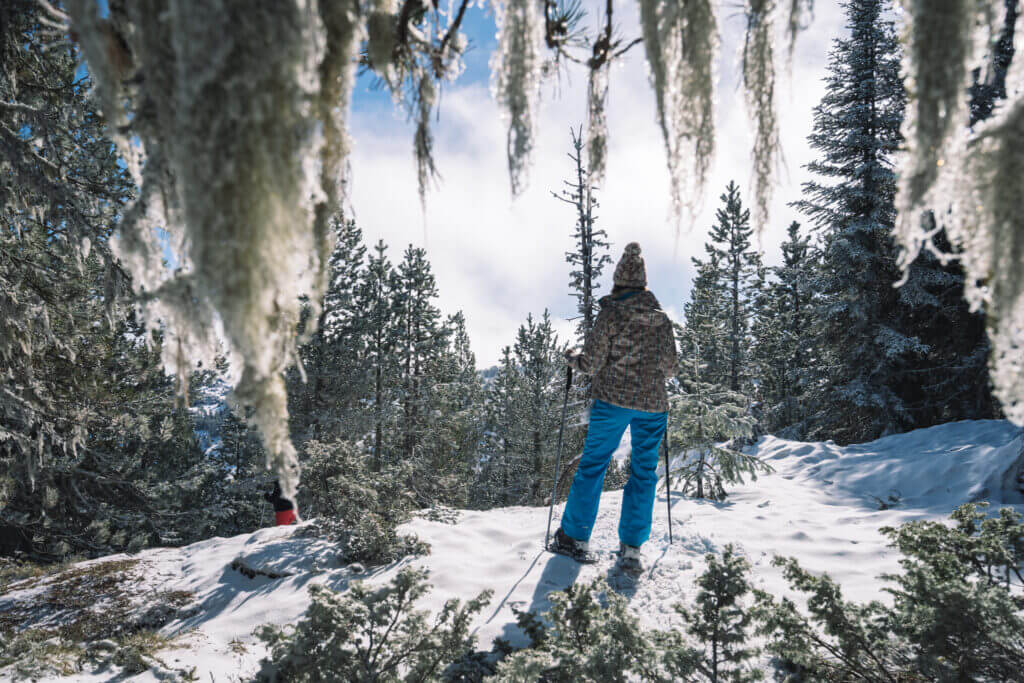 Raquettes dans la neige