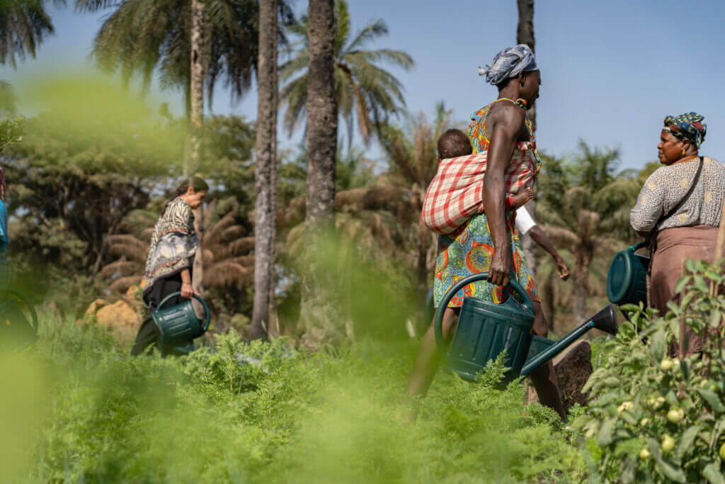 jardin potager en casamance
