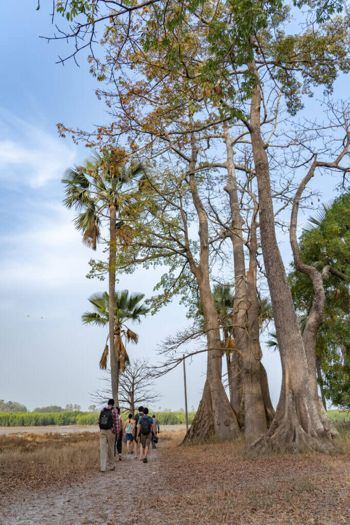 balade en casamance