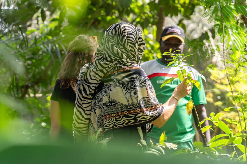 découverte jardin botanique