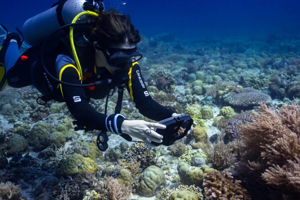 plongée sous marine malapascua