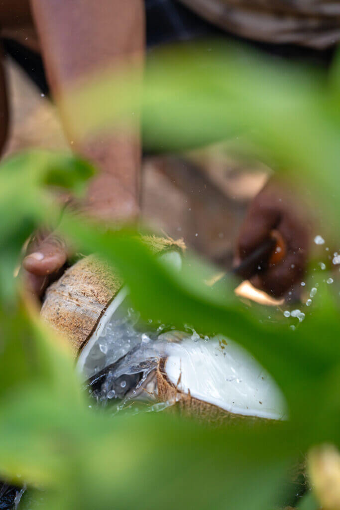 découverte d'une fabrique de coco