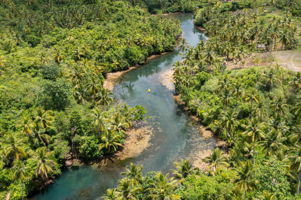 siargao, vue aérienne sur la mangrove