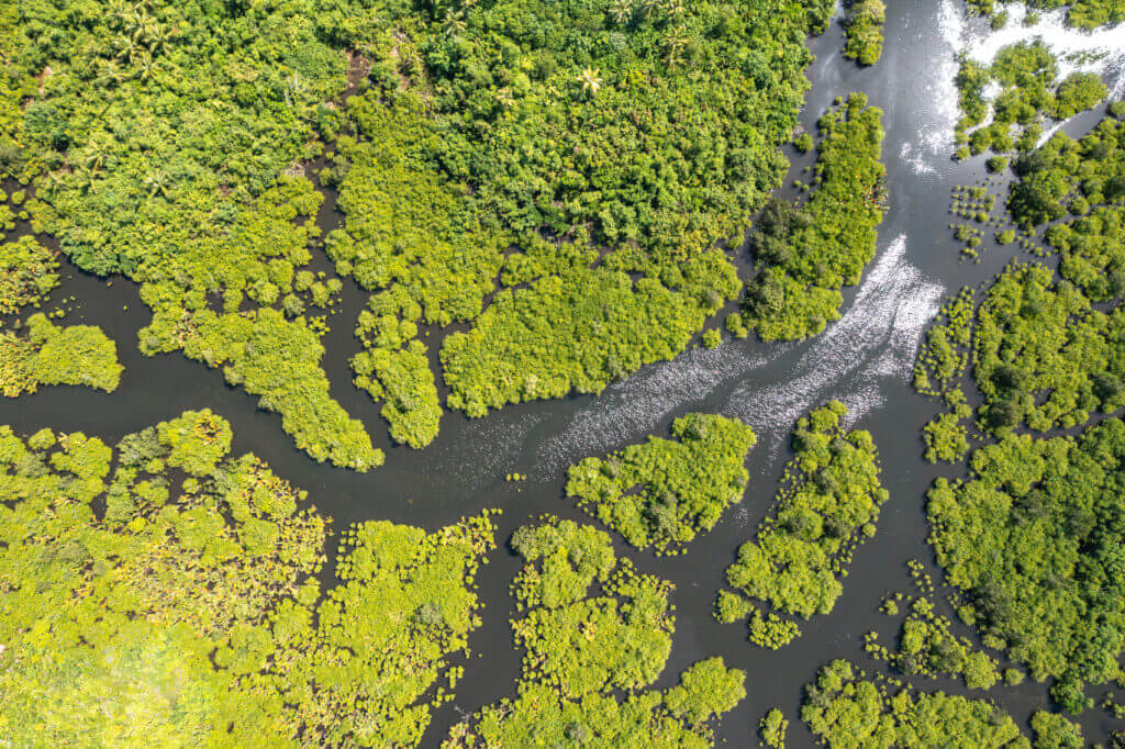 vue sur rivière à siargao