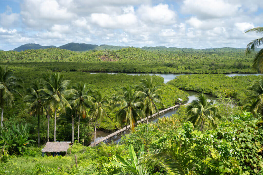vue sur la rivière siargao