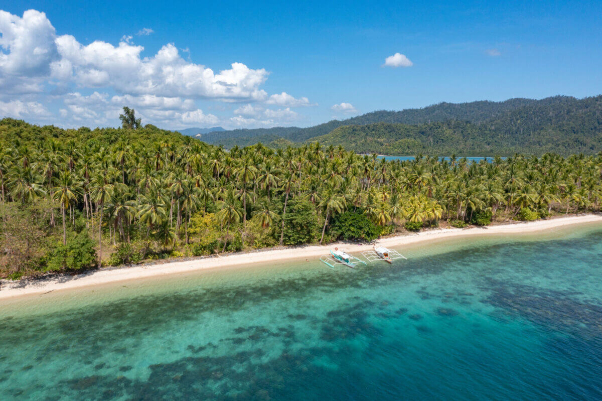 Fondatrice de la ferme de café familiale en Tanzanie