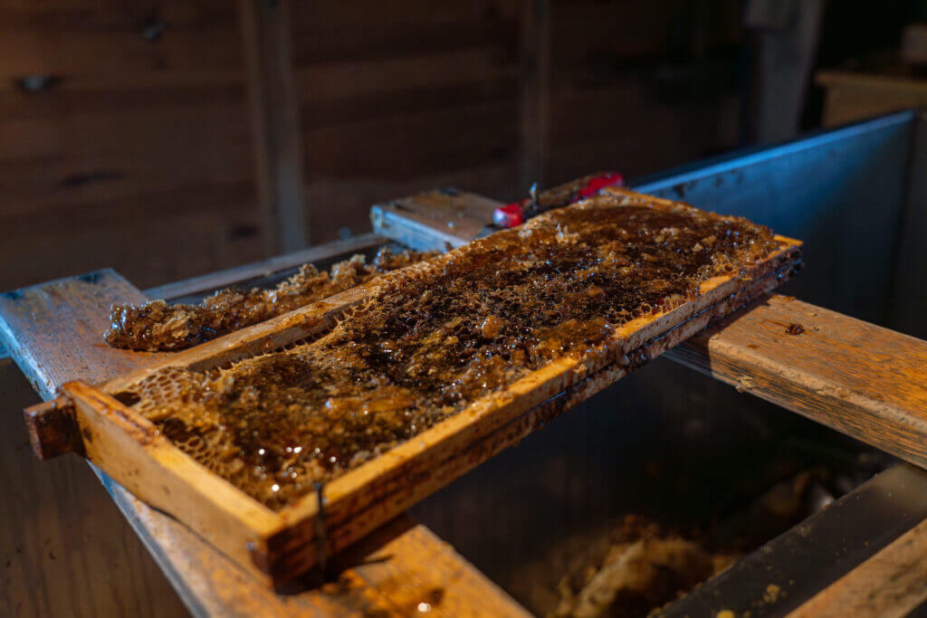 apiculture biologique