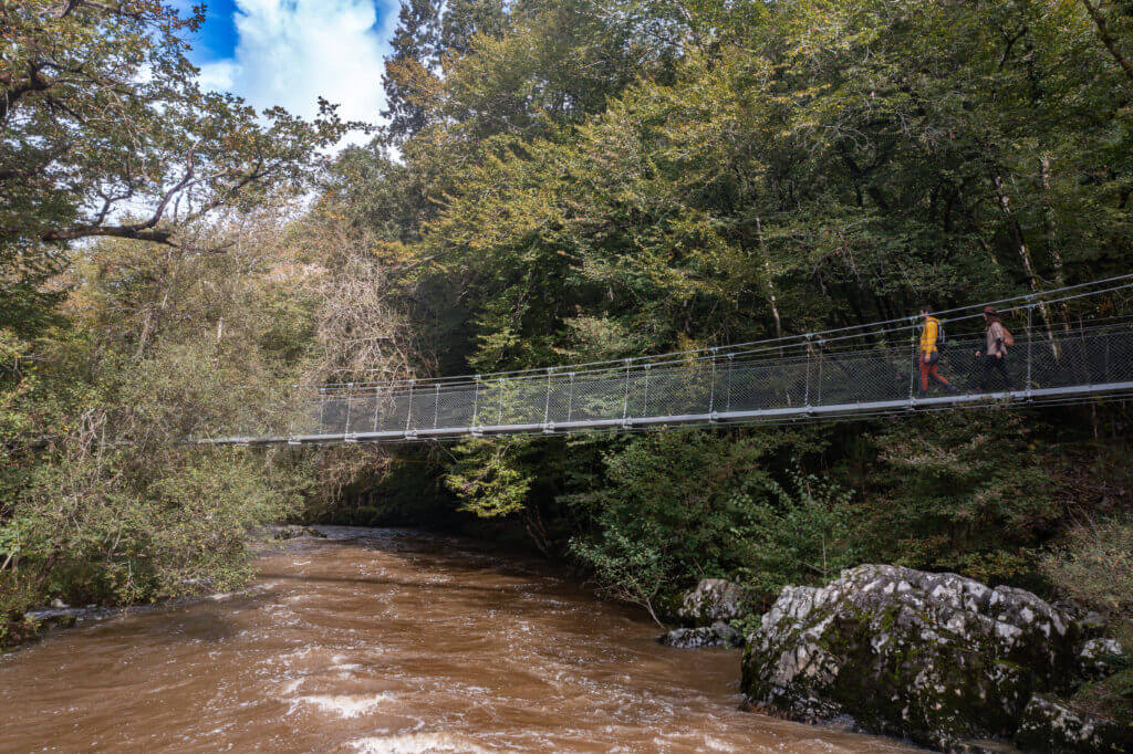 dordogne vue sur pont de singe