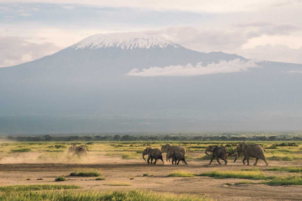 Fondatrice de la ferme de café familiale en Tanzanie
