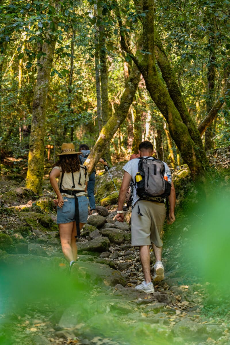 Groupe en train de randonner dans la forêt de Bonifatu
