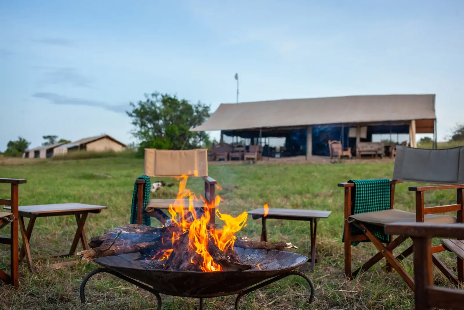 Feu de camp à Gnu Camp